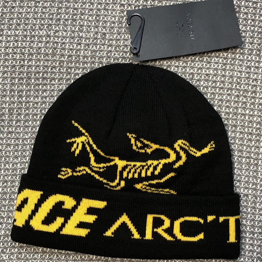 Palace Arc'teryx Beanie Teal